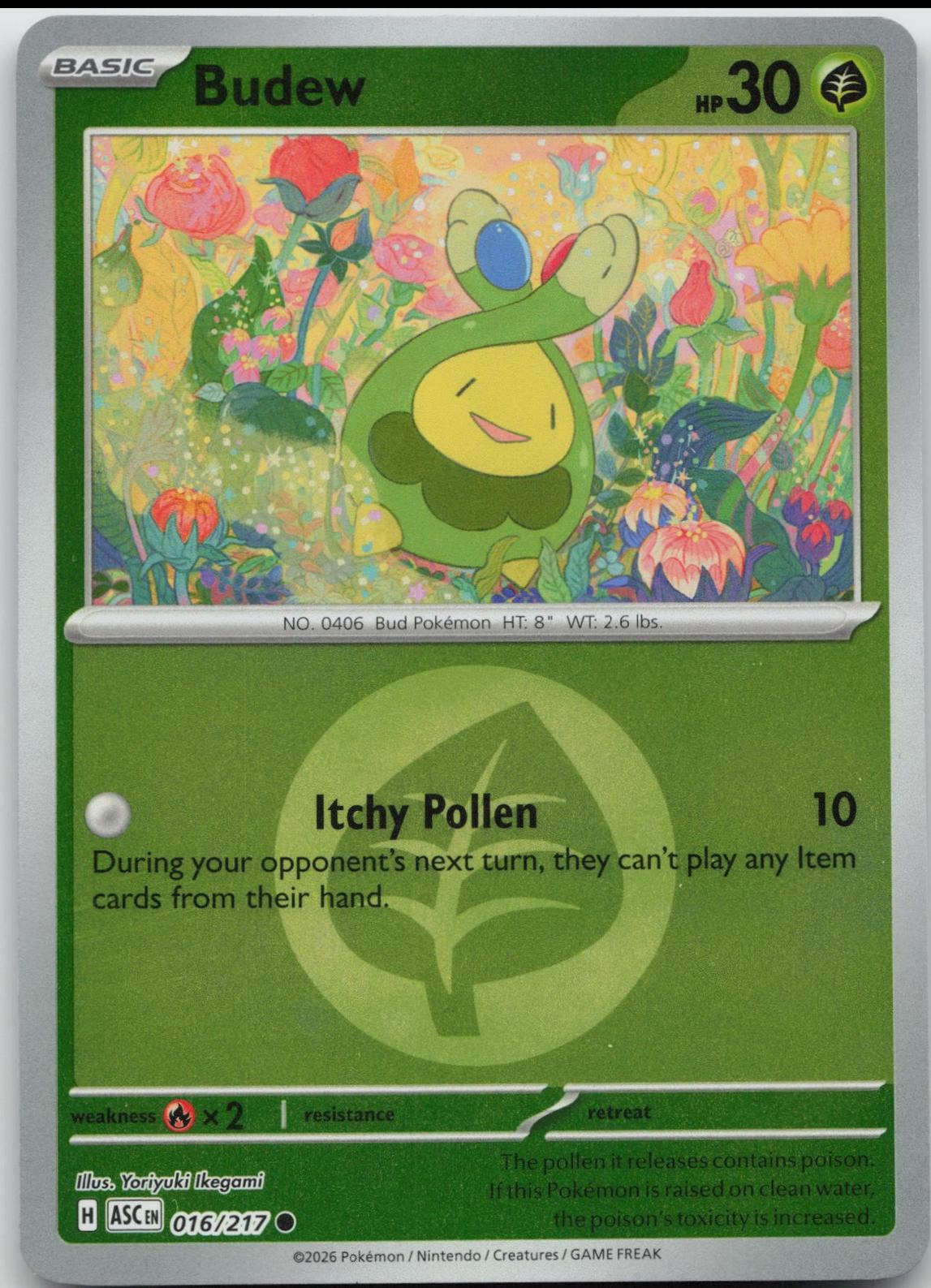 Budew [Energy] #16