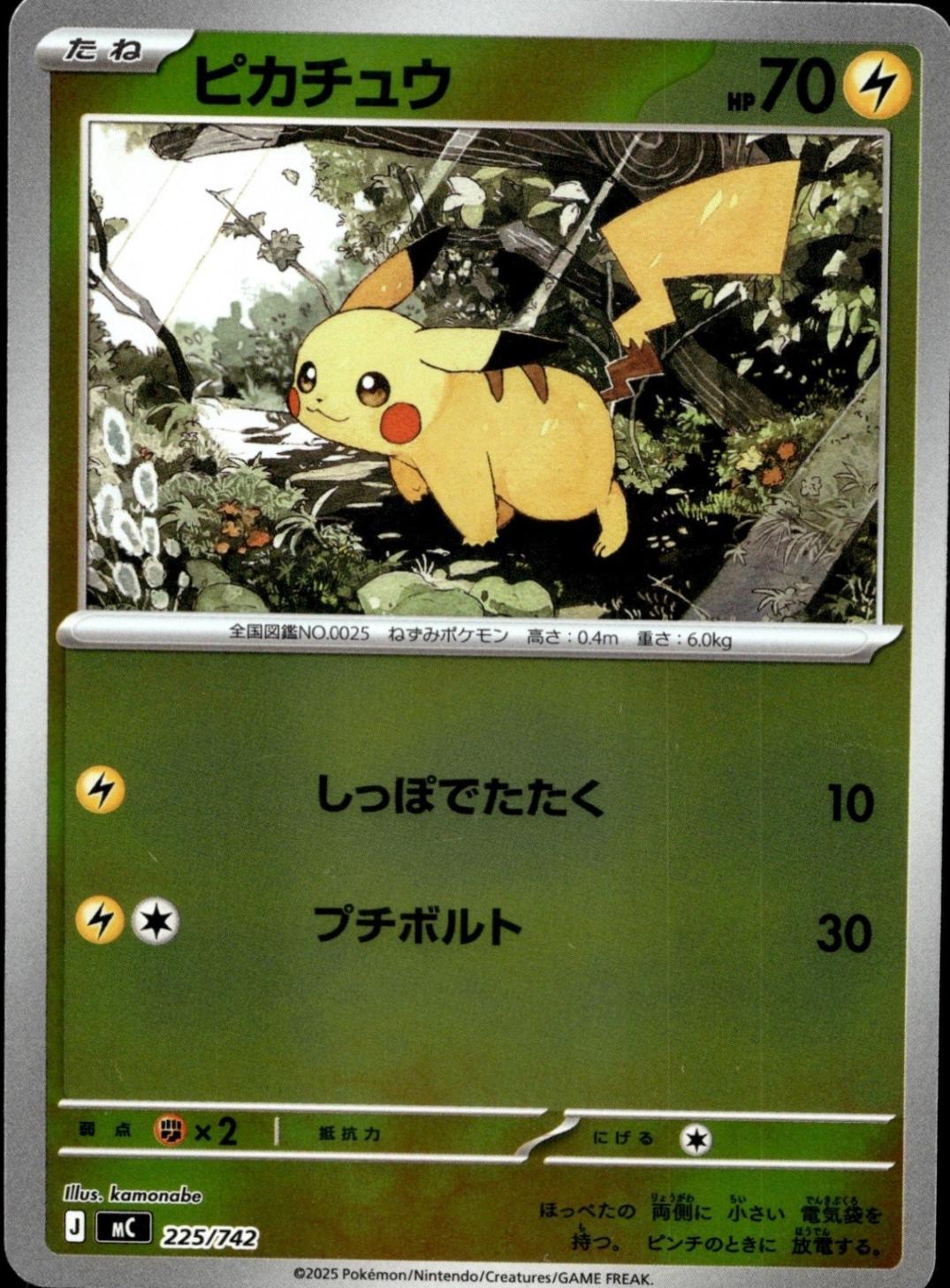 Raichu [Mirror Holo] #226