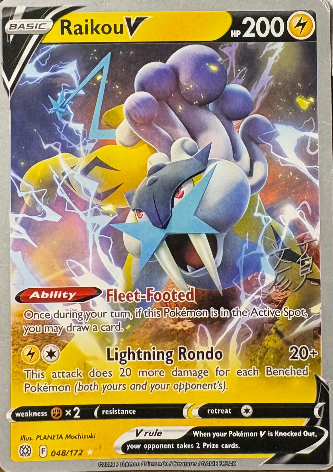 Raikou V #48