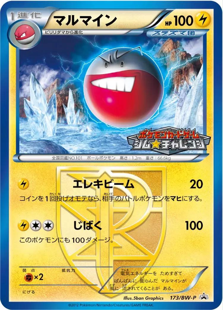 Electrode #173/BW-P