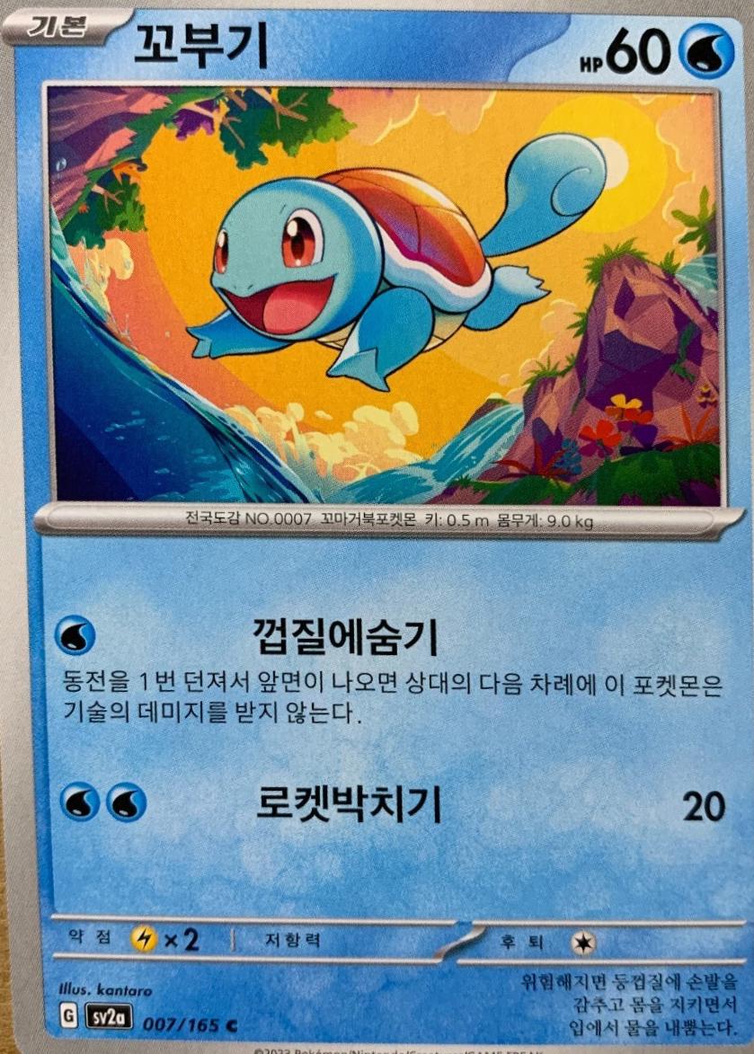 Squirtle #7