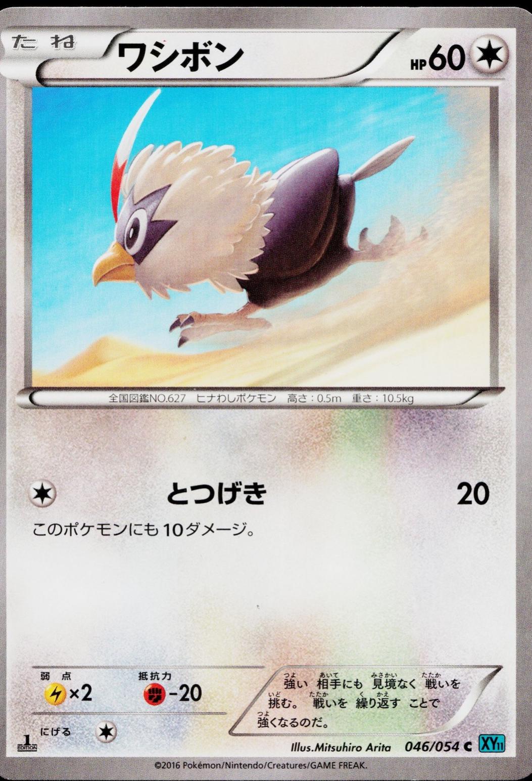 Rufflet #46