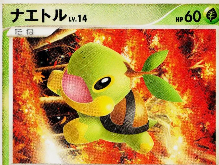 Turtwig #1