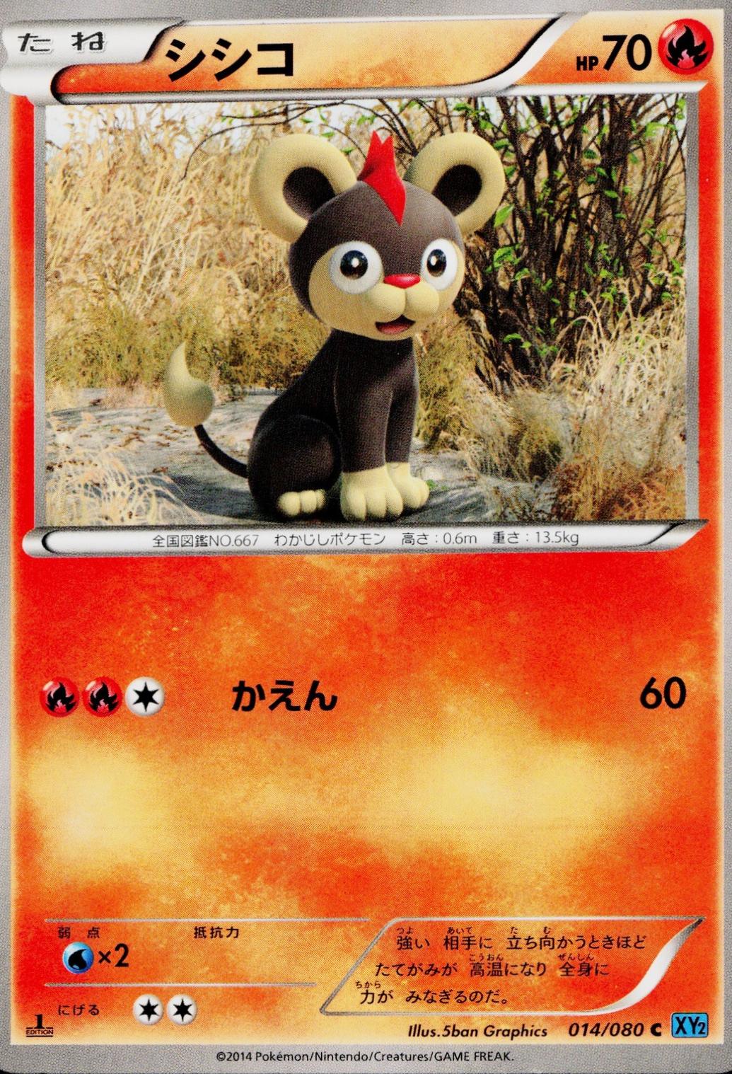 Litleo #14