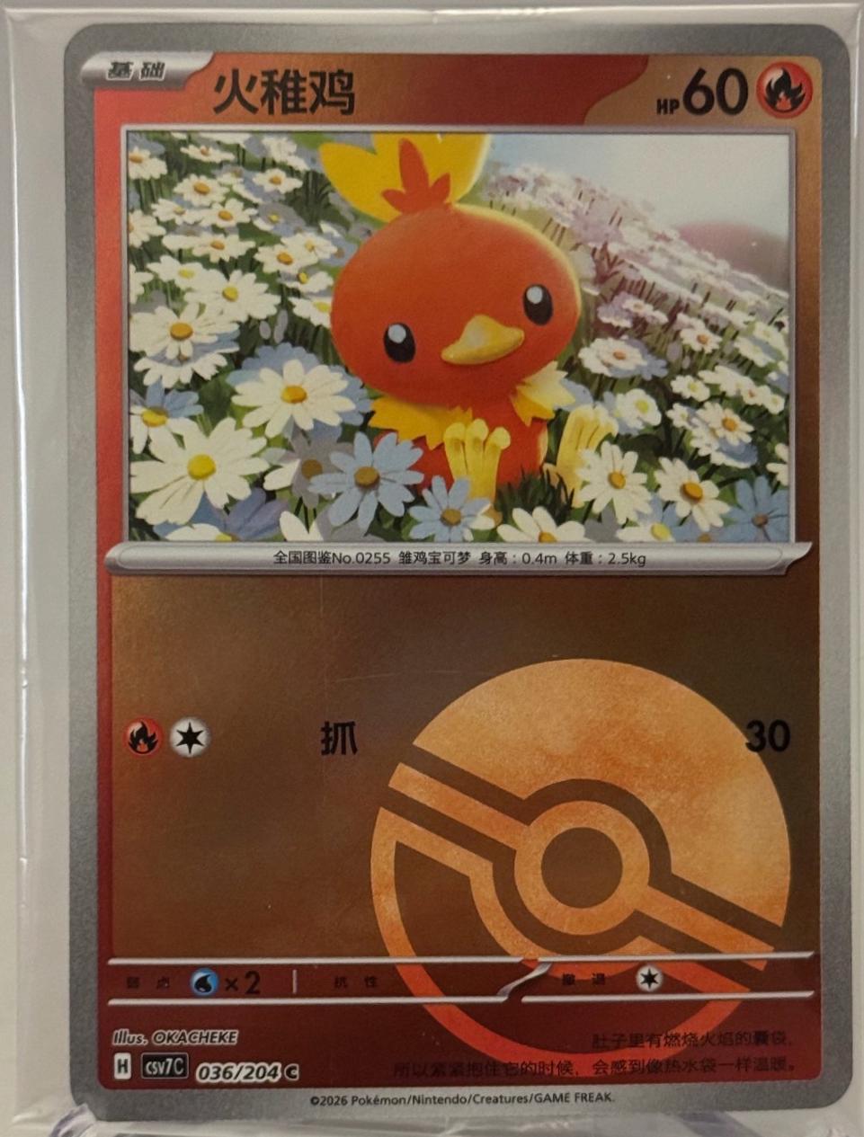 Torchic [Poke Ball] #36