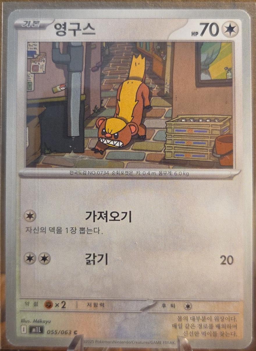 Yungoos #55