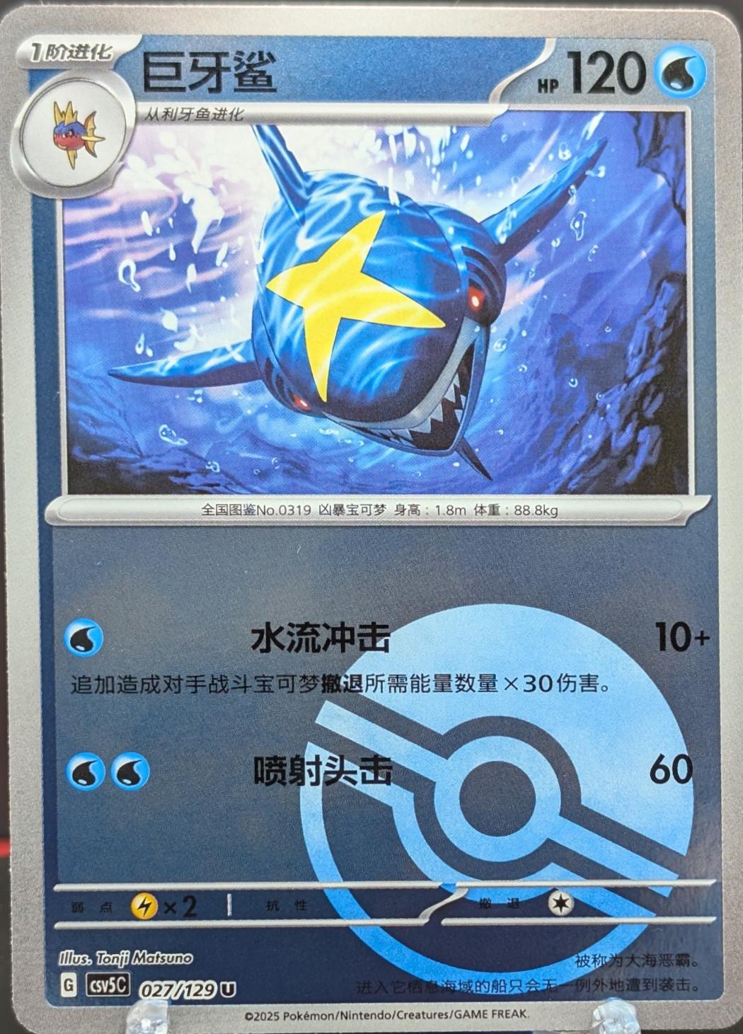 Sharpedo #27