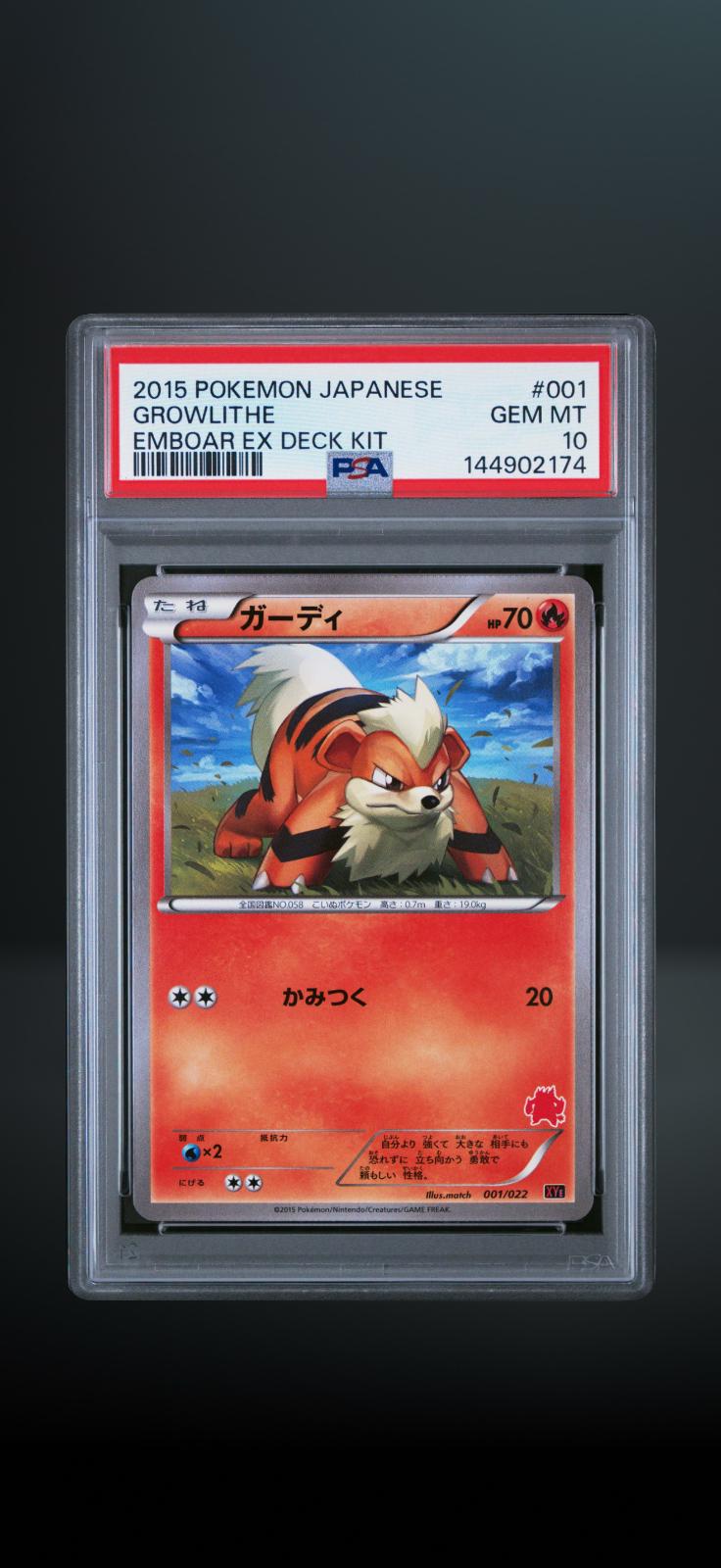Growlithe #1