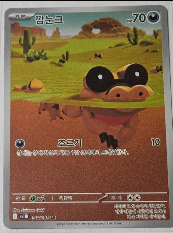 Sandile #141