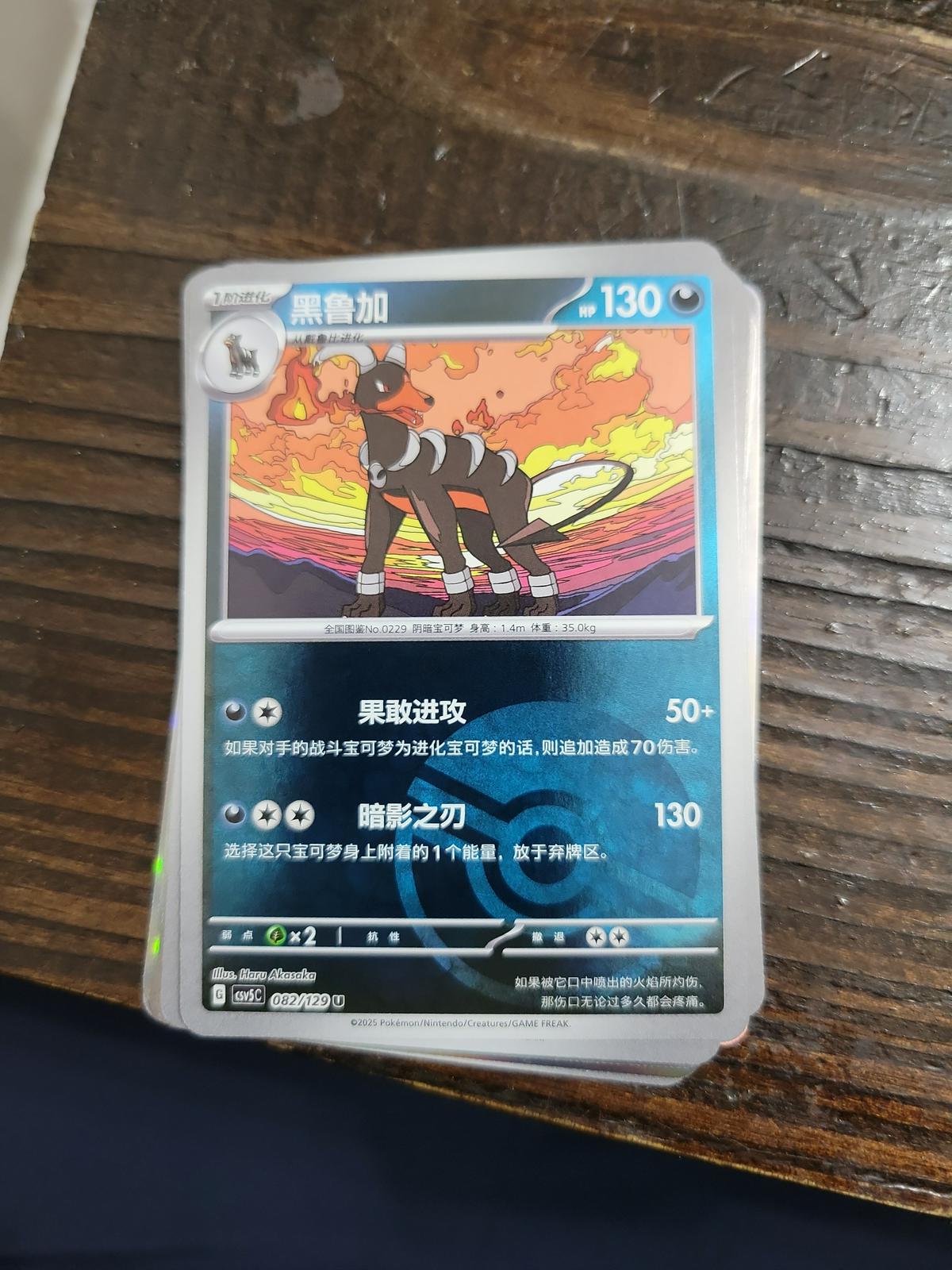 Houndoom #82