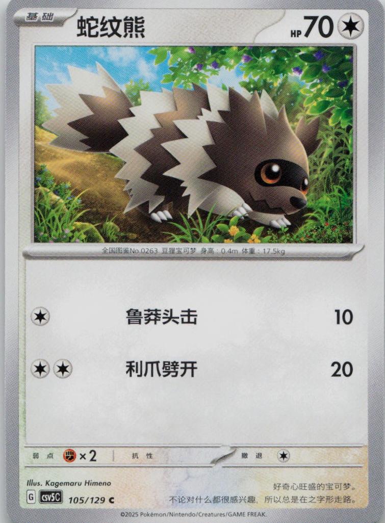Zigzagoon #105