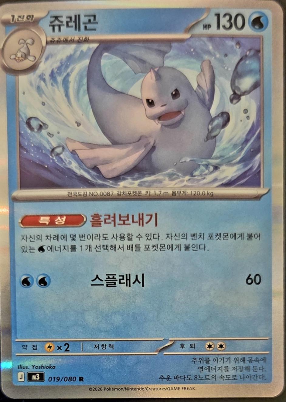 Dewgong #19