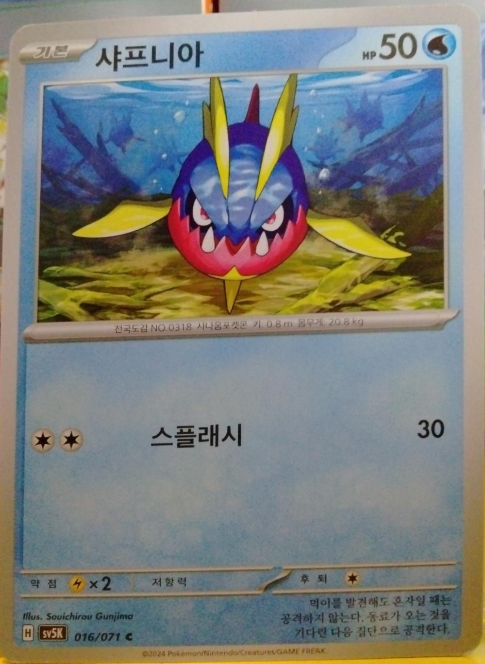 Carvanha #16