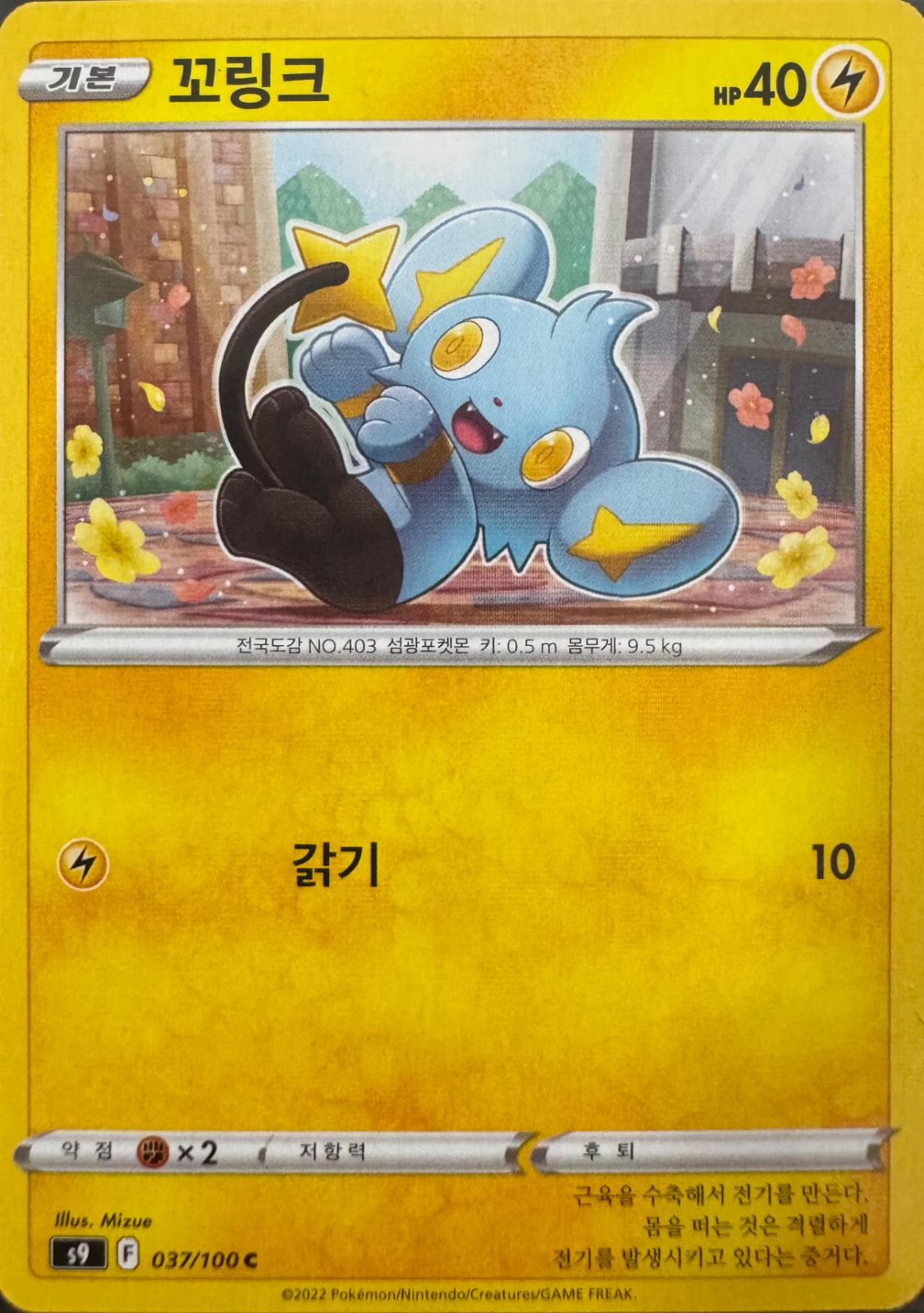 Shinx #37