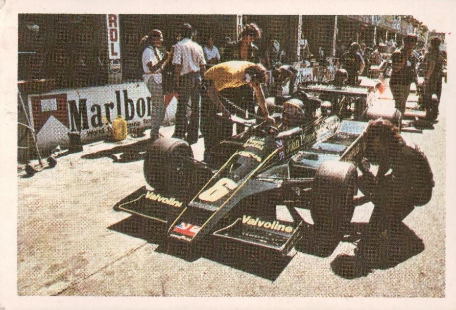 Ronnie Peterson #141