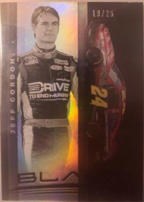 Jeff Gordon [Purple] #15