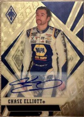 Chase Elliott [Gold] #6