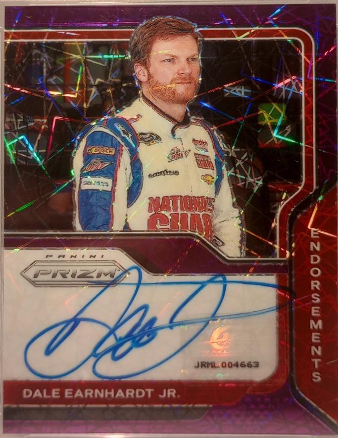 Dale Earnhardt Jr. [Purple Velocity] #E-JR
