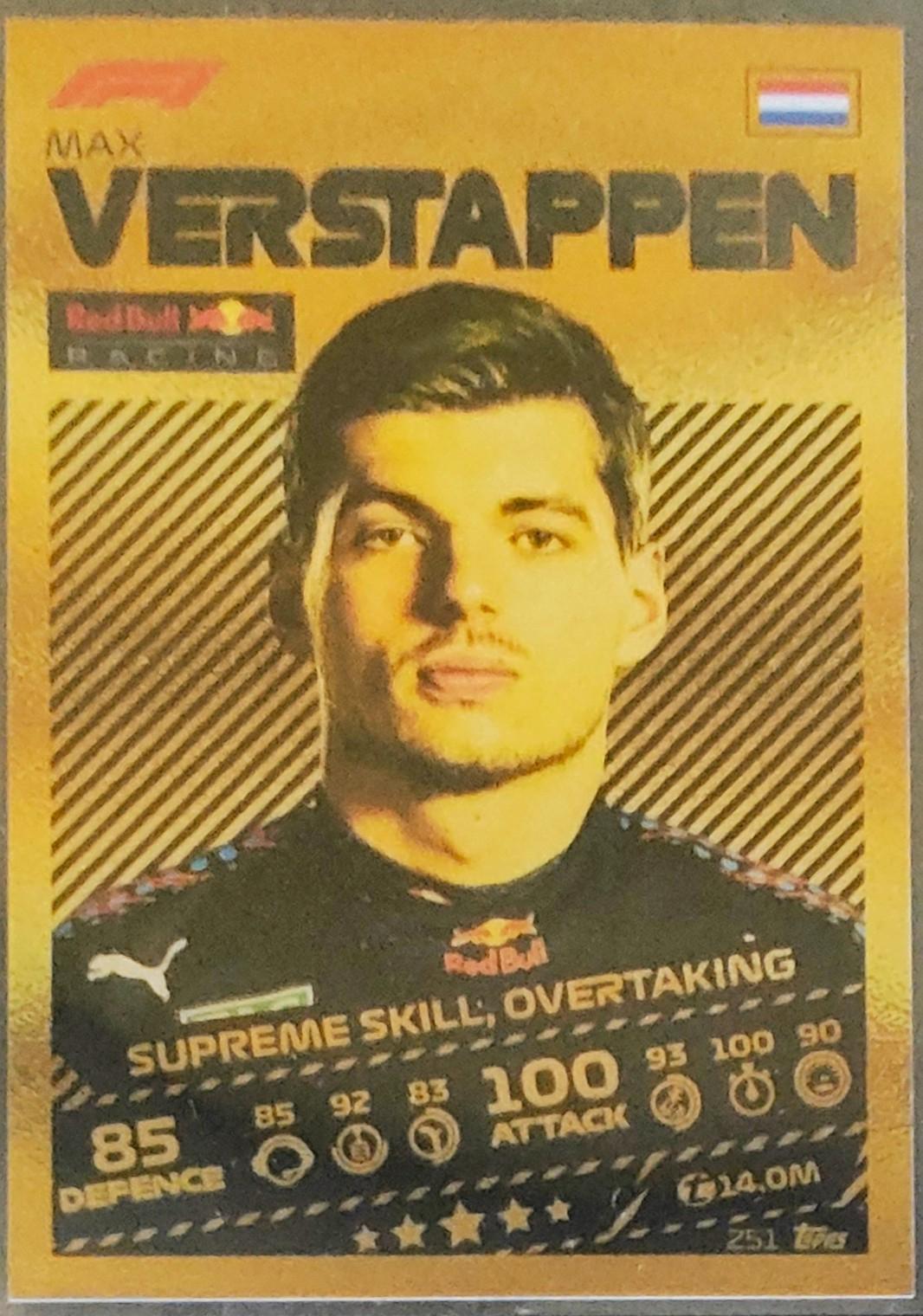 Max Verstappen #251