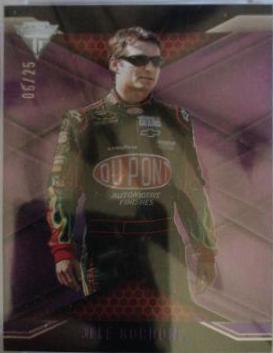 Jeff Gordon [Purple] #19
