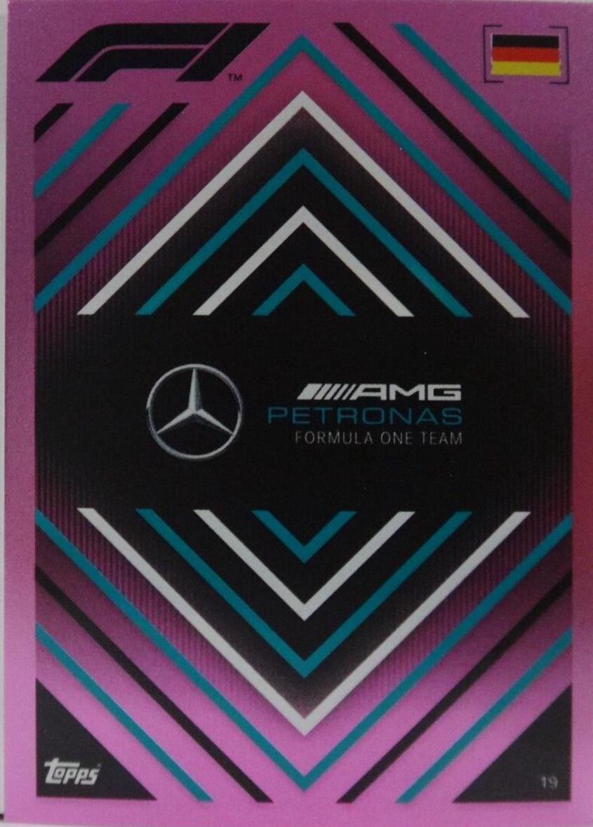 Team Logo [Mirror Pink] #19