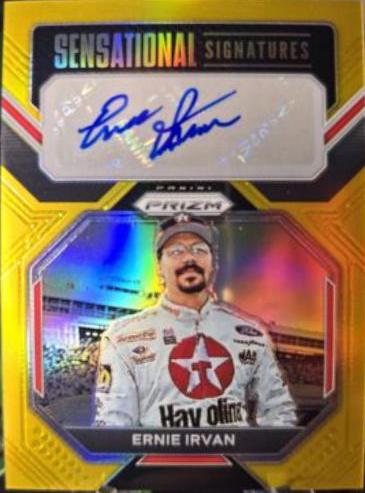 Ernie Irvan [Gold] #8