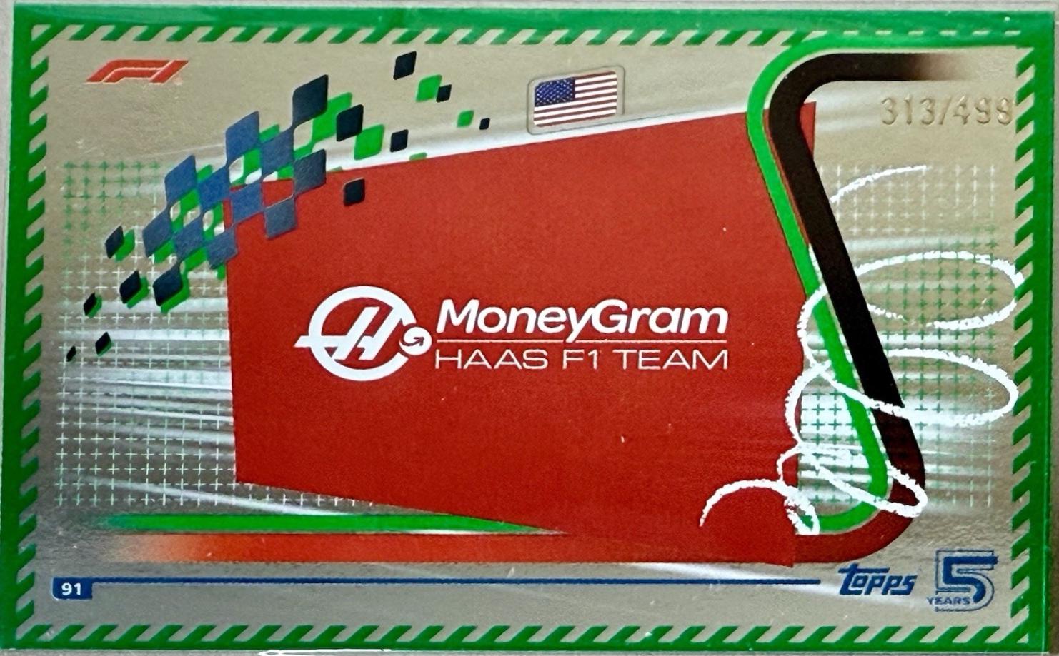 Team Logo [Green] #91