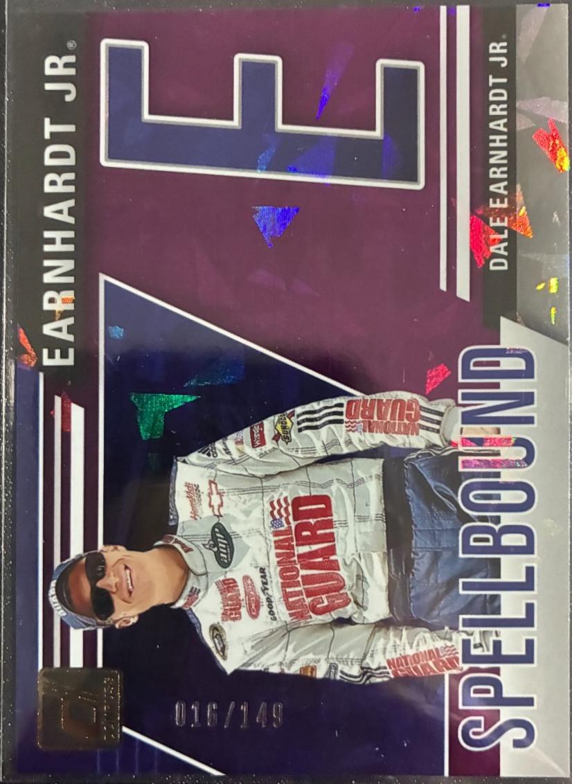 Dale Earnhardt Jr. [Purple Ice] #25