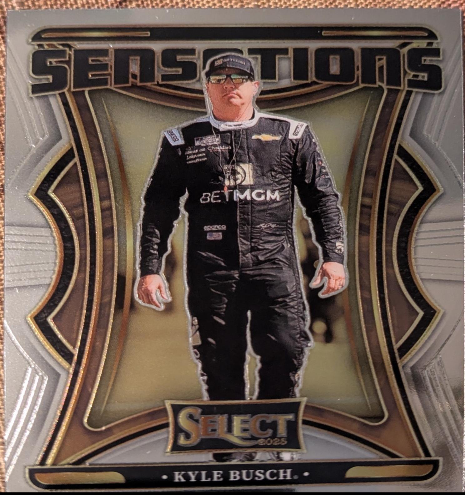 Kyle Busch #19