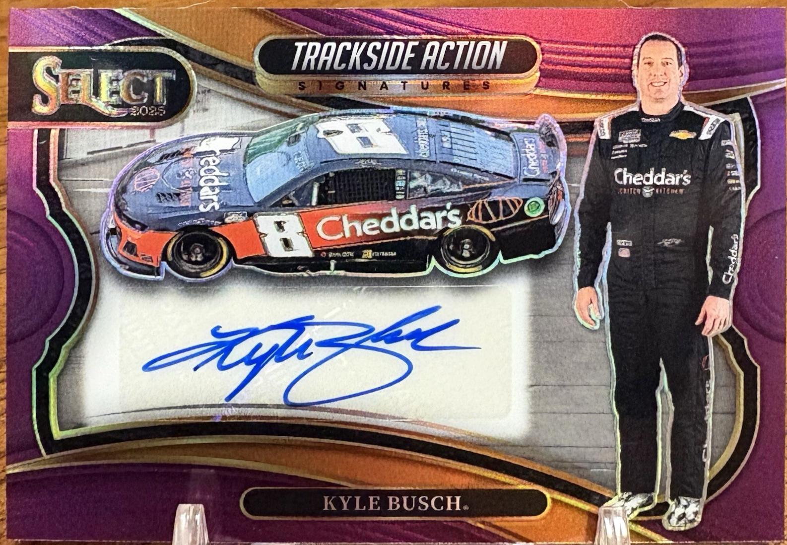 Kyle Busch [Purple Prizm] #2