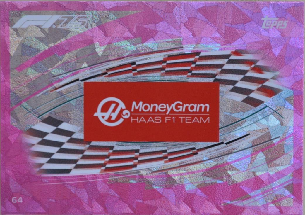 Team Logo [Pink] #64