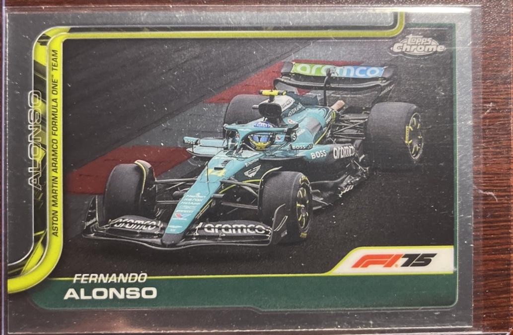 Fernando Alonso #81