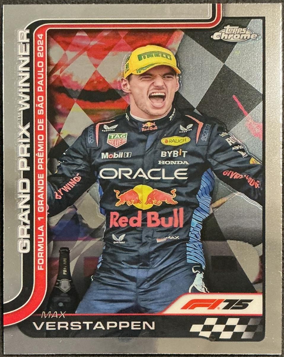 Max Verstappen #113