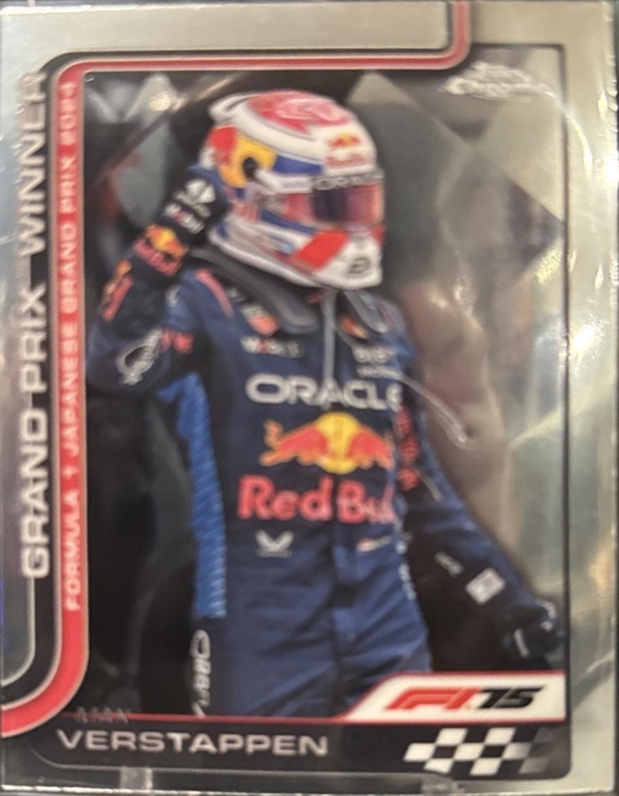Max Verstappen #96