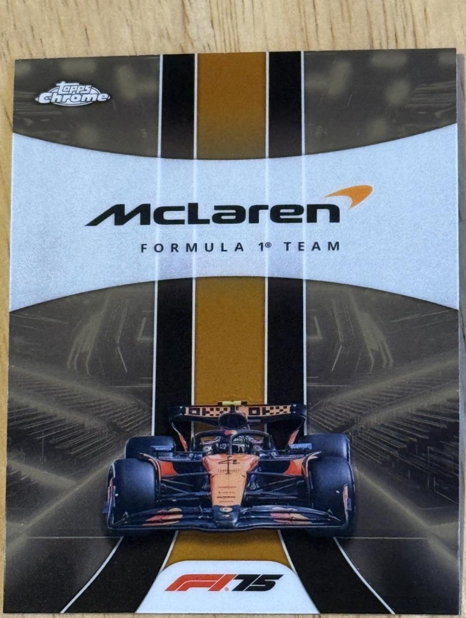 McLaren Formula 1 Team #176