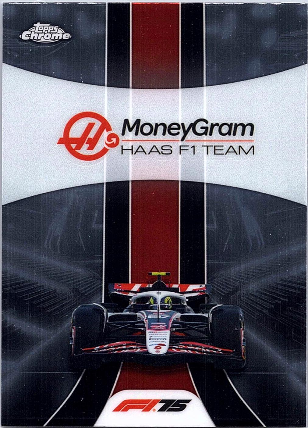 MoneyGram Haas F1 Team #180