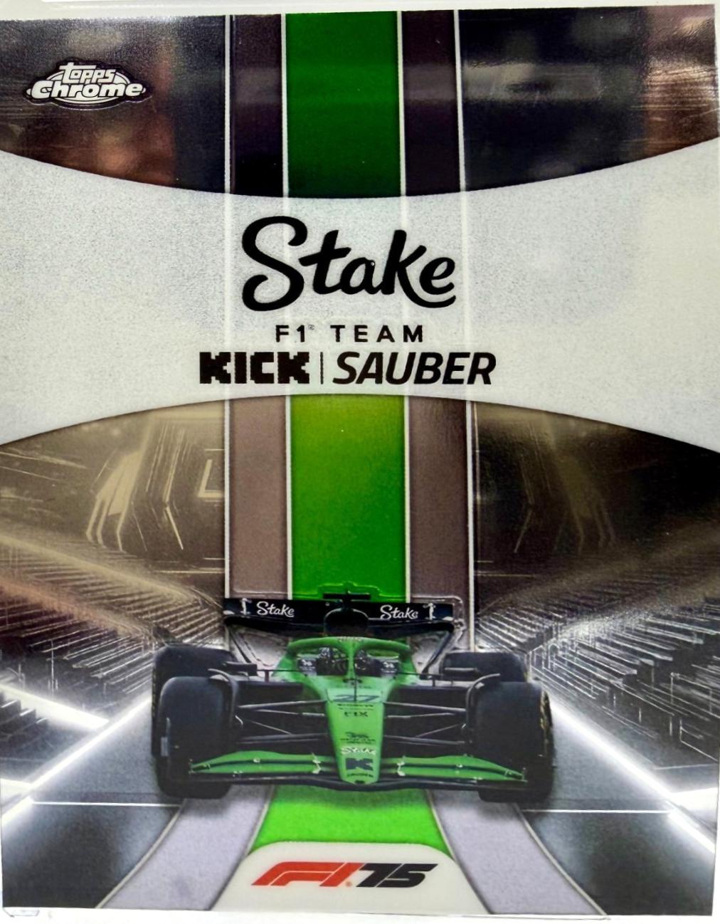 Stake F1 Team KICK Sauber #183