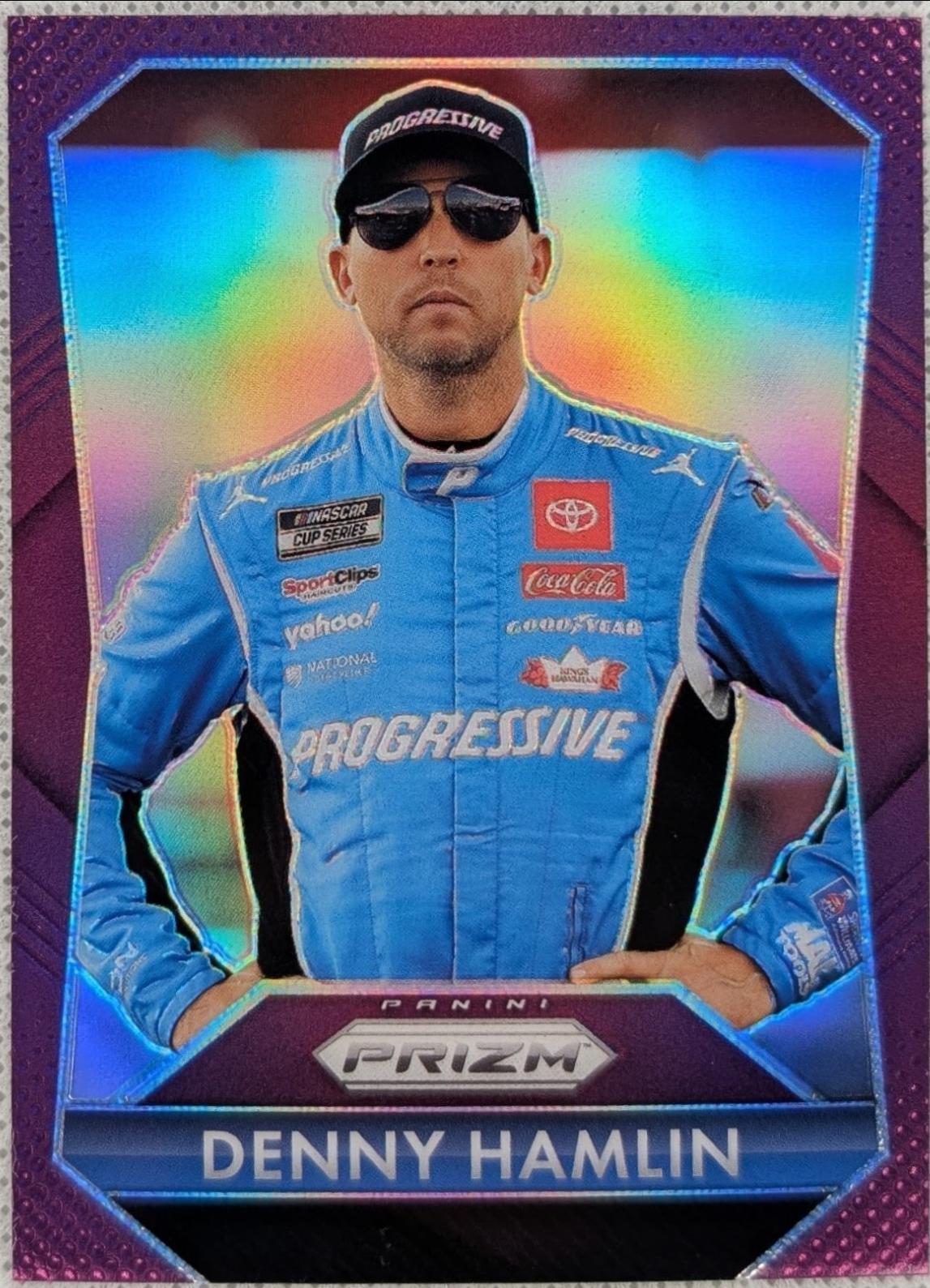 Denny Hamlin [Purple] #161