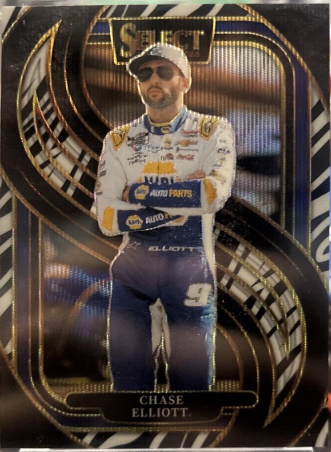 Chase Elliott [Zebra Prizm] #290