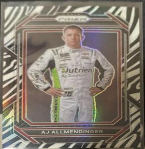 AJ Allmendinger [Zebra] #41