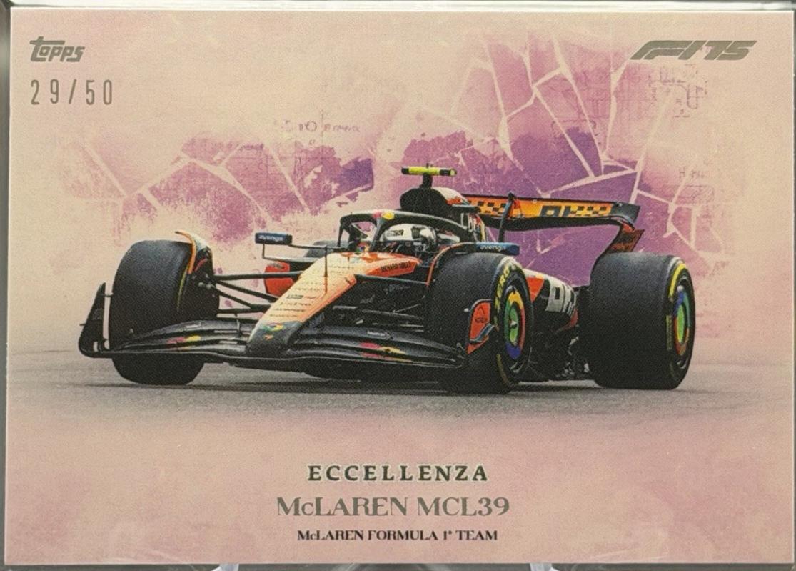 Team McLaren Formula 1 Team [Macchina da Corsa]
