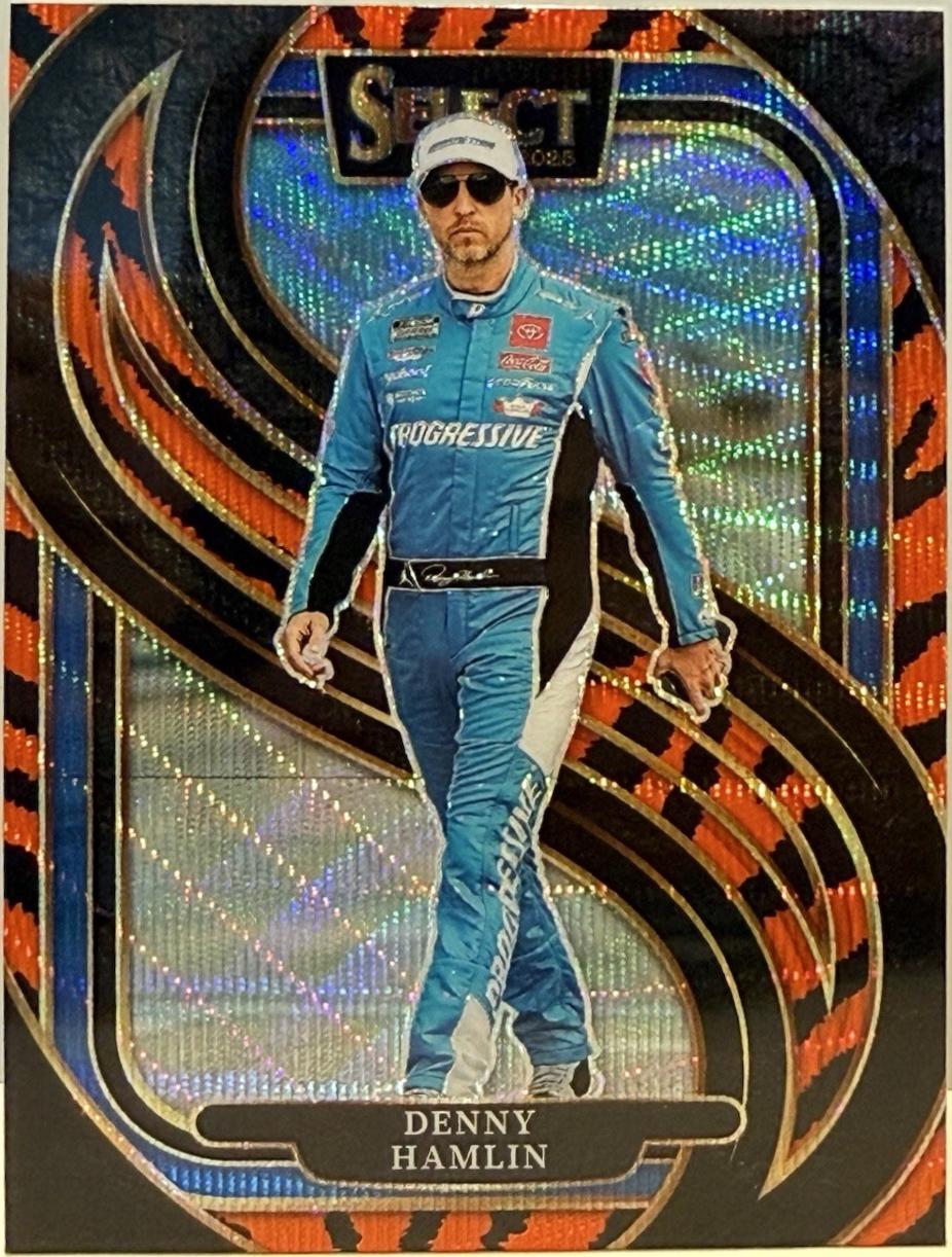 Denny Hamlin [Tiger Prizm] #289