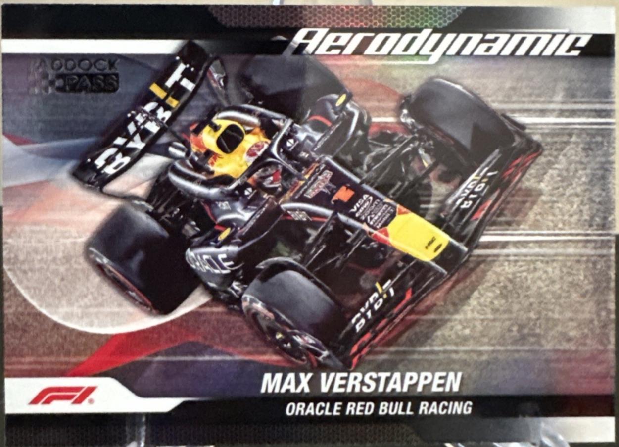 Max Verstappen [Black] #AD-1