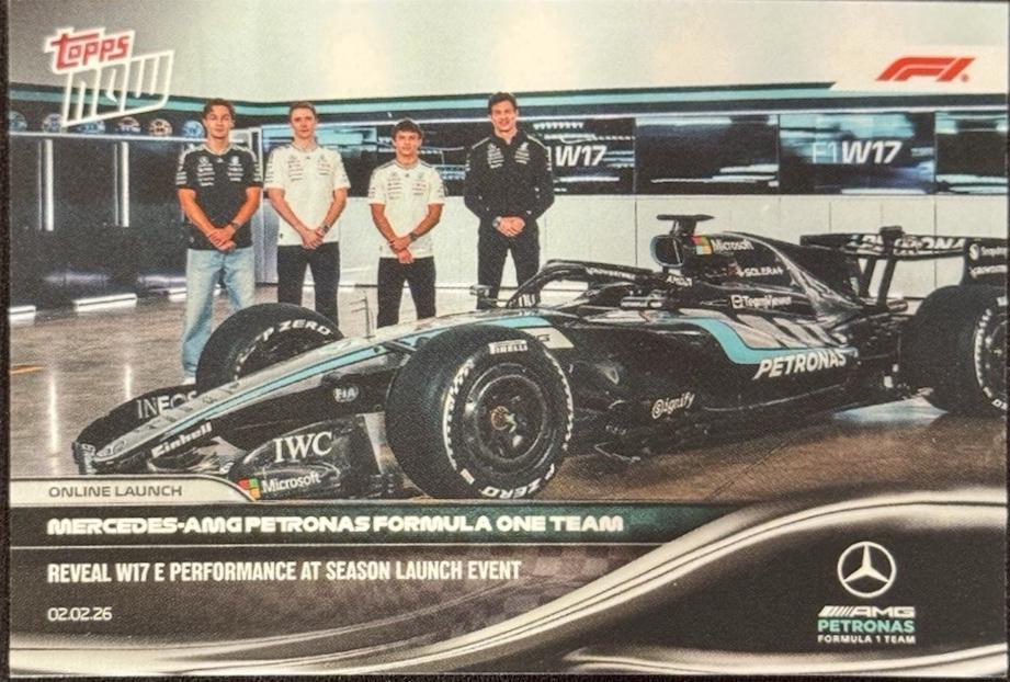 Mercedes-AMG PETRONAS F1 Team #7