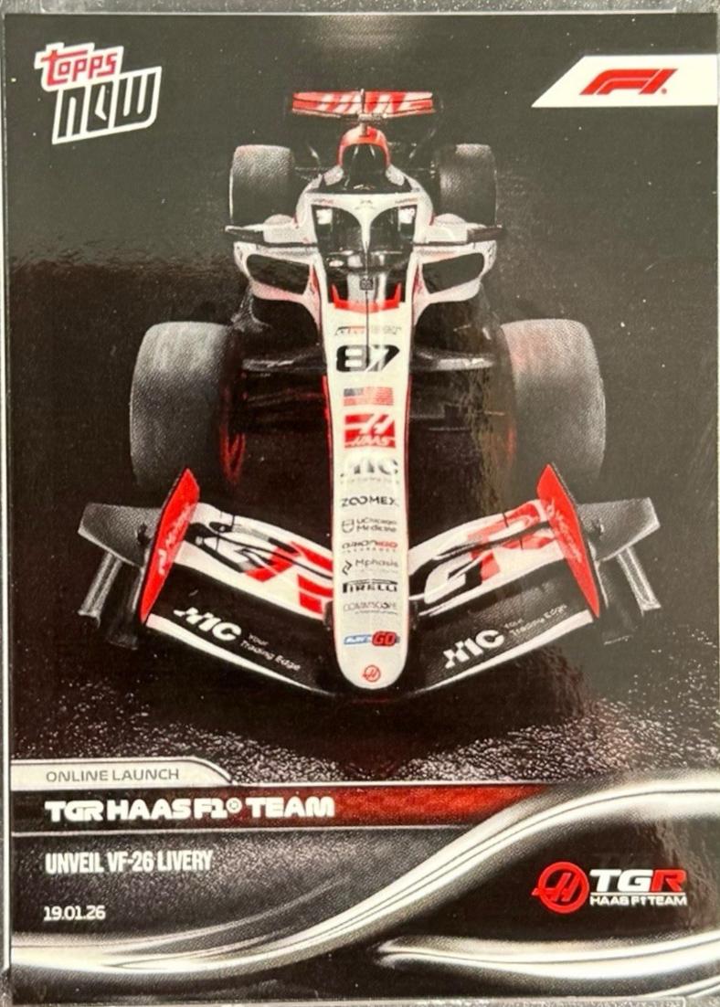 MoneyGram Haas F1 Team #6