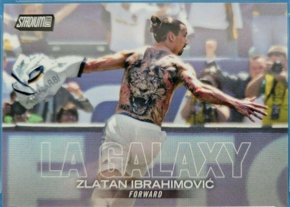 Zlatan Ibrahimovic [Tiger Back Tattoo] #96