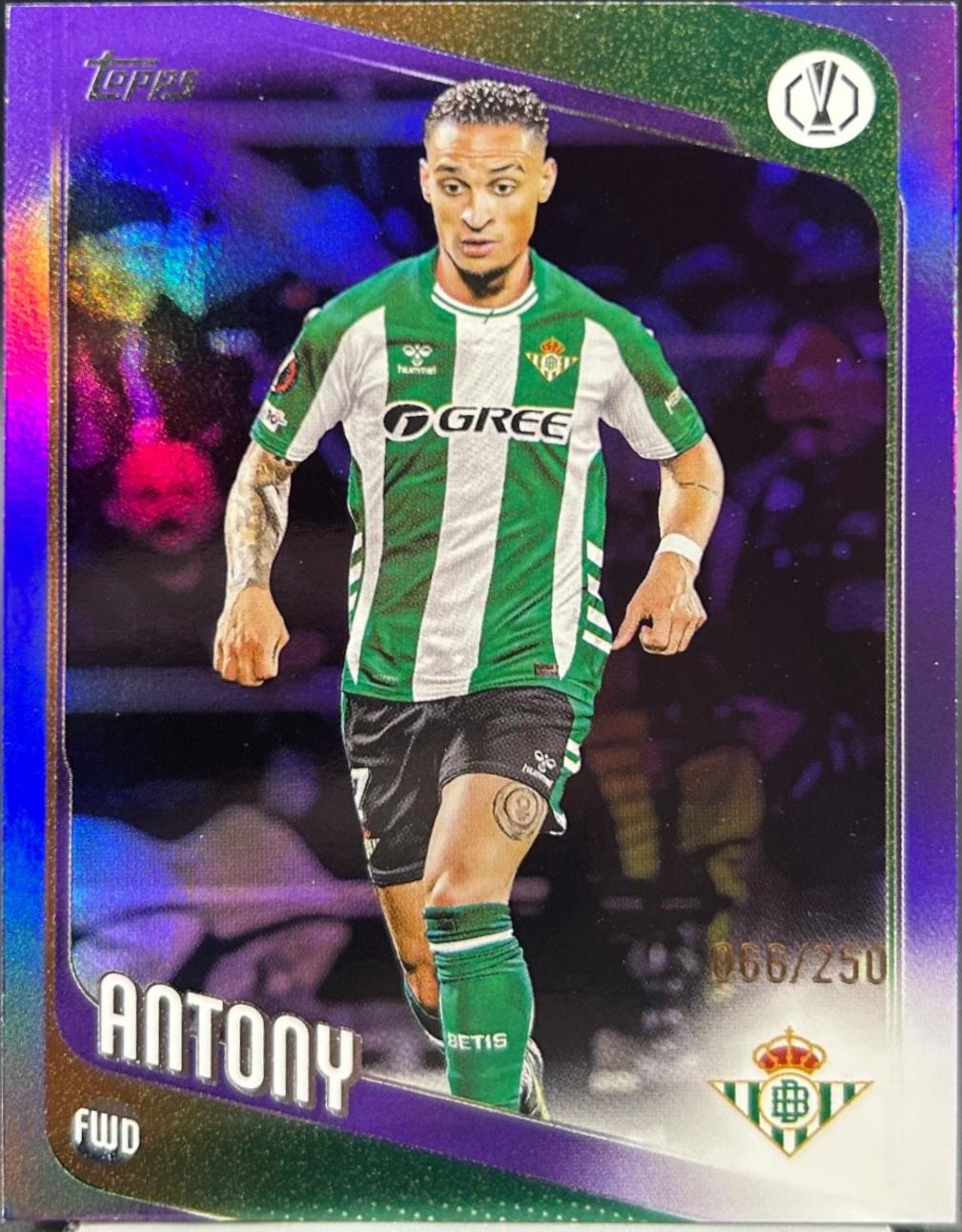 Antony [Purple] #13