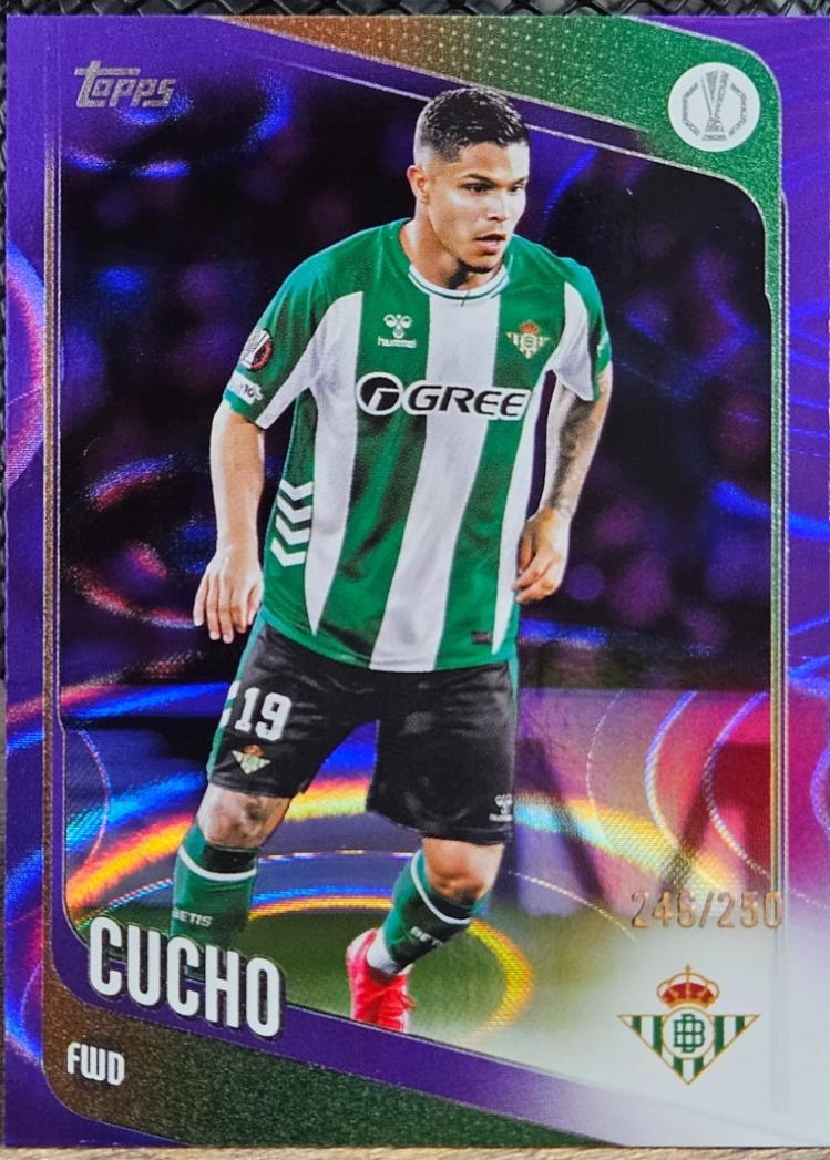 Cucho [Purple Raindrops] #51