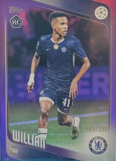 Estevao Willian [Purple] #66