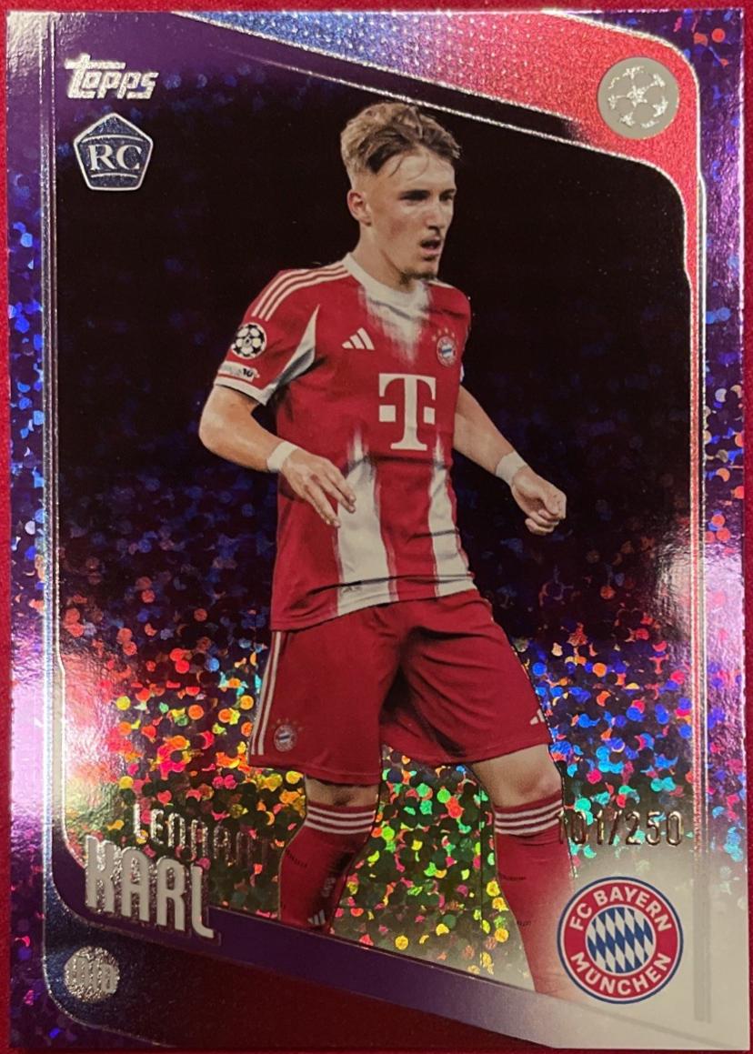 Lennart Karl [Purple Raindrops] #187